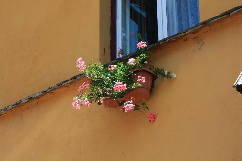 160-Sighisoara,4 agosto 2011.JPG